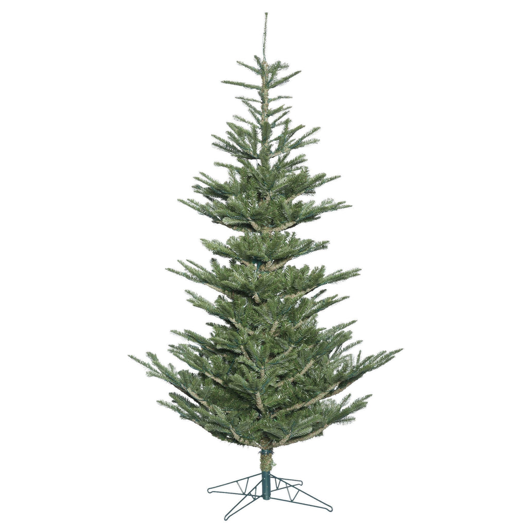 Vickerman 6' x 48" Alberta Spruce Artificial Christmas Tree, Unlit