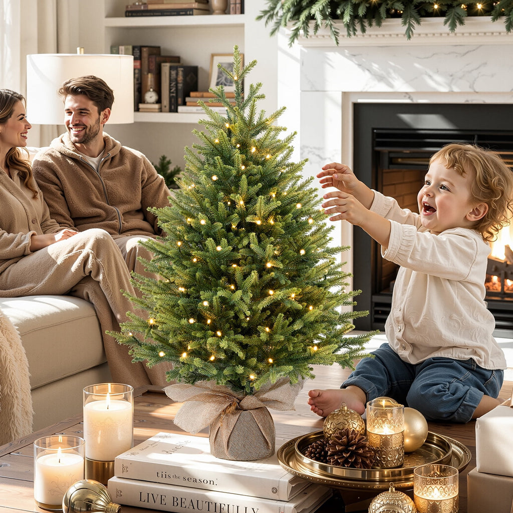 Lolsea 4ft Prelit Artificial Small Mini Christmas Tree with Color LED Lights, Remote Control and Timer, Perfect for Xmas Tabletop Decorations