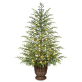 My Texas House 4ft Green Pre-lit Norfolk Pine Potted Christmas Tree, 100 Twinkle LED
