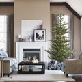 Vickerman 6' x 48" Alberta Spruce Artificial Christmas Tree, Unlit