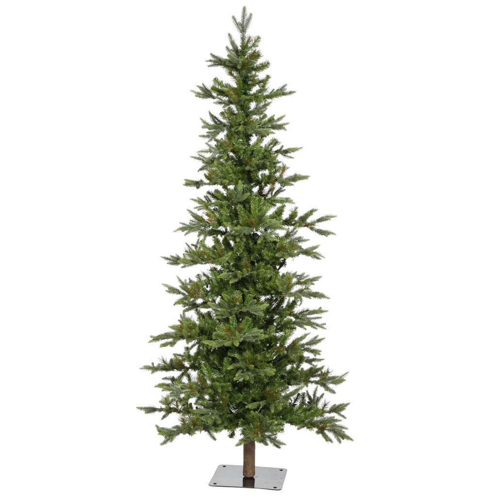Vickerman 7' Shawnee Fir Artificial Christmas Tree, Unlit
