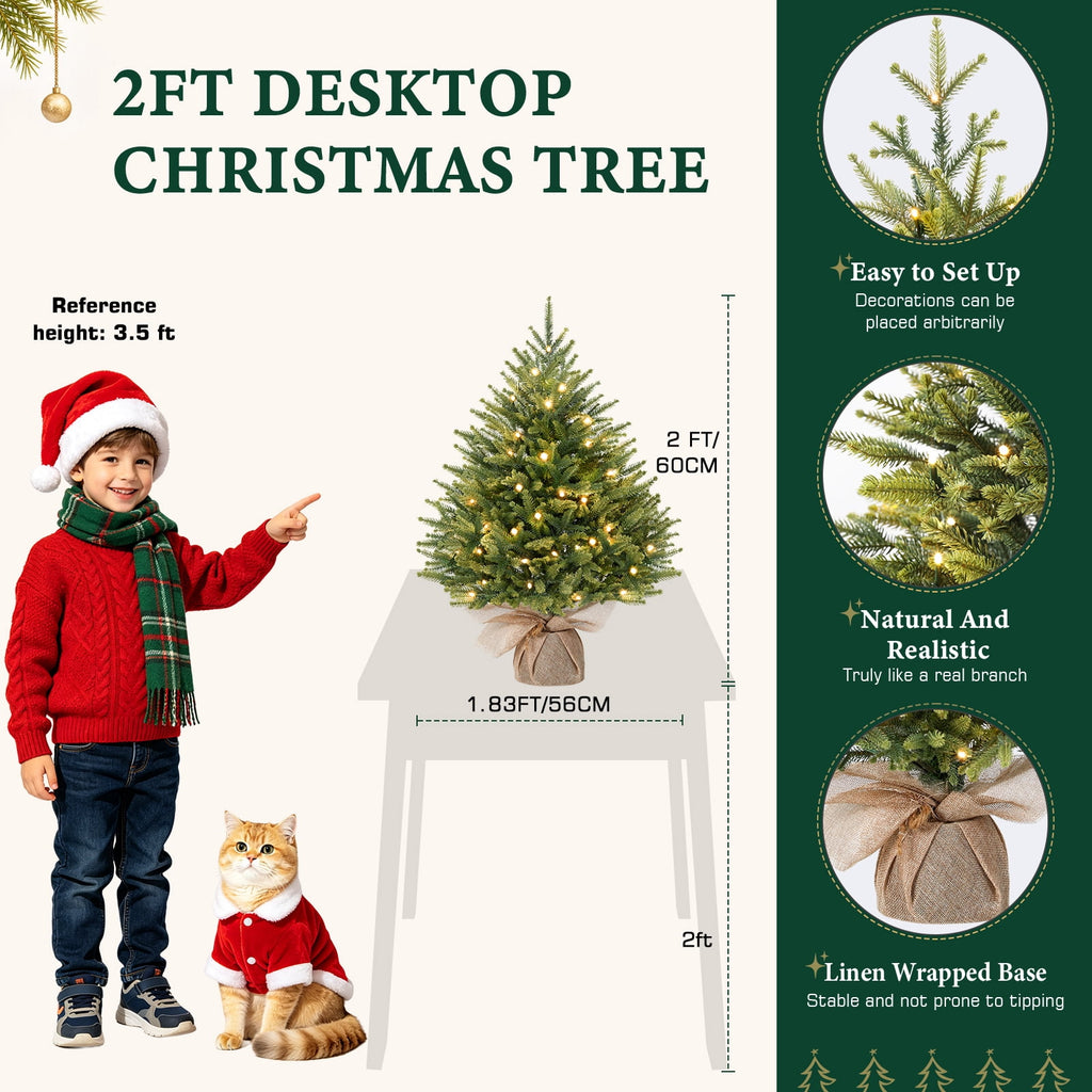 Lolsea 4ft Prelit Artificial Small Mini Christmas Tree with Color LED Lights, Remote Control and Timer, Perfect for Xmas Tabletop Decorations